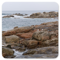 Am Meer