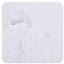 Winterliche Spuren