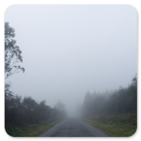 Frühnebel