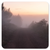 Morgenstimmung