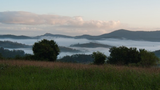 Morgennebel