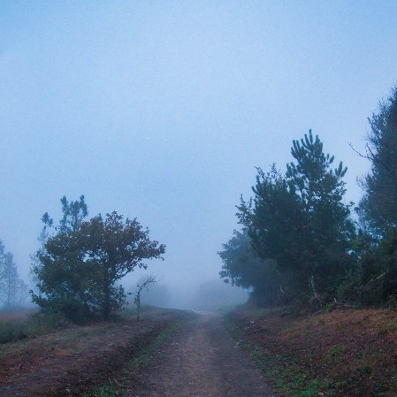 Camino vor Palas de Rei im Nebel Camino vor Palas de Rei im Nebel