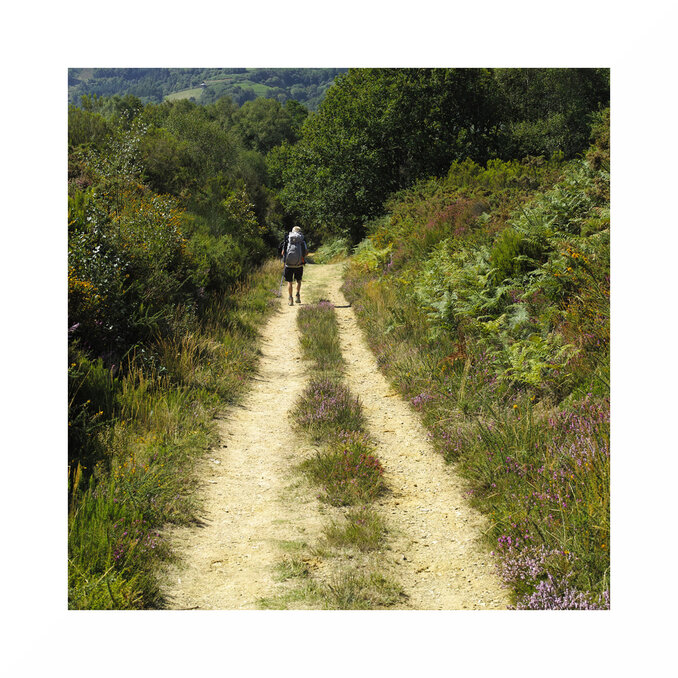 Camino Primitivo