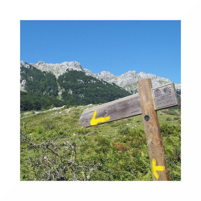Camino Vasco